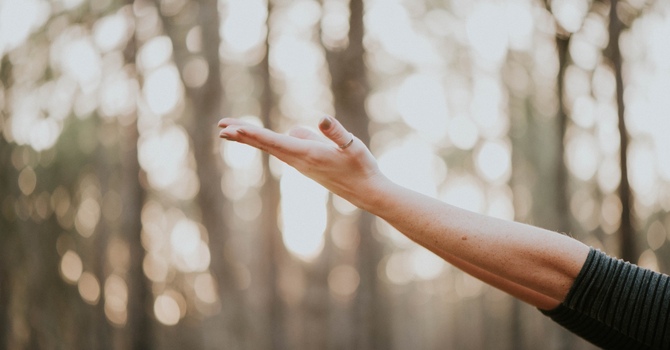 Why Am I Awake All Night and Sleeping All Day? Understanding Sleep, Circadian Rhythms, and Neurodivergence